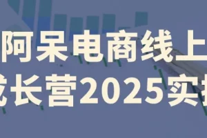 阿呆电商线上成长营2025实操：全流程电商实战课程