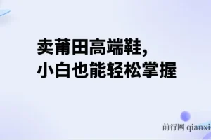卖莆田高端鞋项目实操：每日两小时，小白轻松日入2000+
