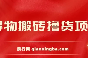 得物搬砖撸货项目：自动比价RPA与找私车策略v2.0