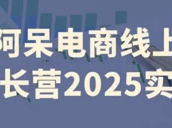 阿呆电商线上成长营2025实操：全流程电商实战课程