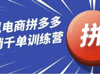 白凤电商拼多多日销千单运营训练营