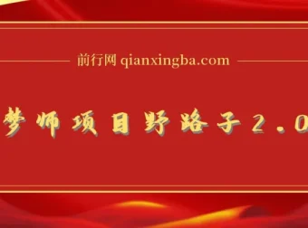 AI绘梦师项目野路子2.0玩法：复制粘贴一键生成，新手日赚500+