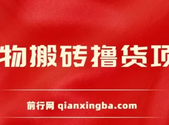 得物搬砖撸货项目：自动比价RPA与找私车策略v2.0