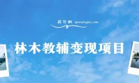 林木教辅变现项目：日收益3000+，教引流与变现，附资料资源