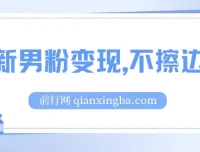 最新男粉变现项目：不擦边不封号，日入超300