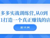 多多实战训练营：0 – 1打造赚钱店铺秘籍