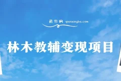 林木教辅变现项目：日收益3000+，教引流与变现，附资料资源