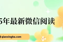 25年微信阅读项目：每日10分钟，单号轻松获利145