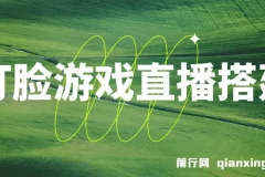 最新打脸扇巴掌游戏无人直播玩法：礼物互动整蛊新体验