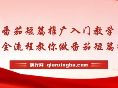 番茄短篇推广全流程教学，轻松入门短篇推文