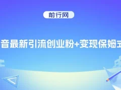 抖音创业粉引流与变现保姆级教程，可无脑套用模板