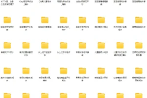 100个毛衣棒编织精品款式实例