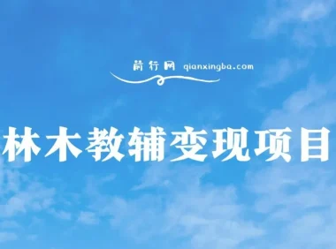 林木教辅变现项目：日收益3000+，教引流与变现，附资料资源