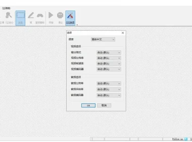 专业视频去水印软件，附详细视频教程