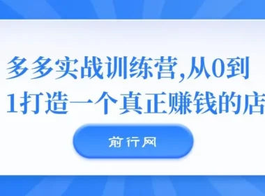 多多实战训练营：0 – 1打造赚钱店铺秘籍