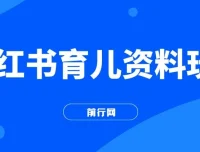 小红书育儿资料变现项目：母婴赛道的长久商机（资料打包）