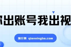 抖推猫项目：你出账号我出视频，5分钟发布，播放即收益，日入500+
