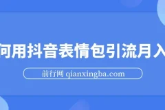 抖音表情包引流：月入两万秘籍