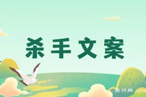 《杀手文案：108封大师手抄赚钱信，解锁月入百万文案密码》