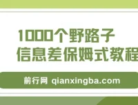 1000个野路子信息差教程：单日变现3000+玩法揭秘