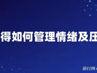 《情绪与压力管理课程：全面掌握情绪调节技巧》