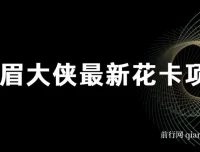 剑眉大侠花卡项目资料集