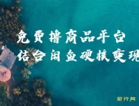 蚁淘生活：免费撸商品与闲鱼双平台硬核变现，小白轻松上手