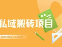 淘私域搬砖项目：利用信息差，每日操作1小时，月入可达5W