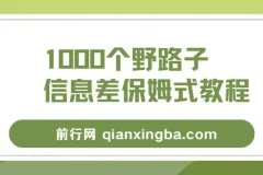 1000个野路子信息差教程：单日变现3000+玩法揭秘