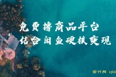 蚁淘生活：免费撸商品与闲鱼双平台硬核变现，小白轻松上手