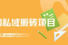 淘私域搬砖项目：利用信息差，每日操作1小时，月入可达5W