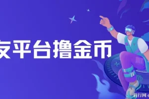 交友平台撸金币项目：无脑搬砖，日入500+可矩阵操作