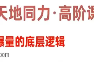 天地同力操盘体系课：揭秘爆量底层逻辑（基础 + 高阶课程）