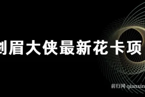 剑眉大侠花卡项目资料集