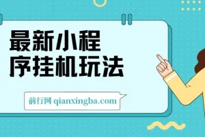 2024最新小程序挂机玩法，手机操作轻松日入900+