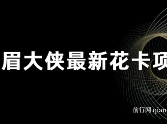 剑眉大侠花卡项目资料集