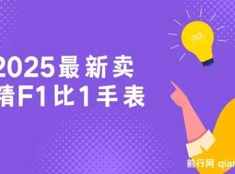 2025卖精仿1比1手表项目保姆式教学，小白两小时轻松月入过万