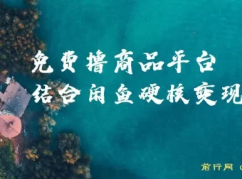 蚁淘生活：免费撸商品与闲鱼双平台硬核变现，小白轻松上手