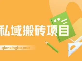 淘私域搬砖项目：利用信息差，每日操作1小时，月入可达5W