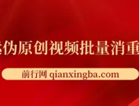 视频批量消重工具：助力伪原创搬运