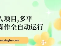 多平台全自动网赚懒人项目：头条、公众号实操，5分钟日入500+