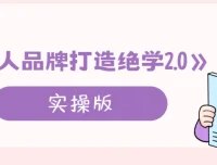 个人品牌打造绝学2.0实操课程