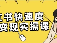 小红书快速涨粉变现实操课程