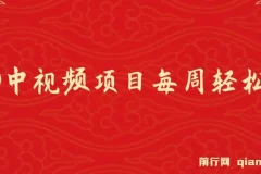 VIVO中视频项目：新技术助力，每周轻松赚万元，AI去重揭秘