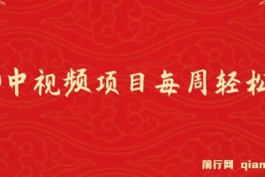 VIVO中视频项目：新技术助力，每周轻松赚万元，AI去重揭秘