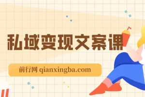 私域变现指南：朋友圈策略、文案撰写与粉丝运营实操