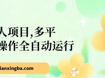 多平台全自动网赚懒人项目：头条、公众号实操，5分钟日入500+