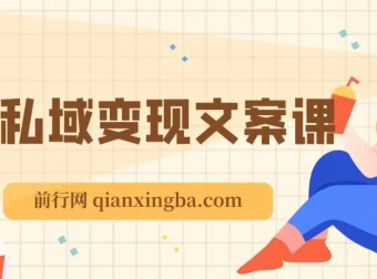 私域变现指南：朋友圈策略、文案撰写与粉丝运营实操