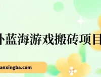 海外游戏搬砖副业项目，单机日入可观，小白轻松上手