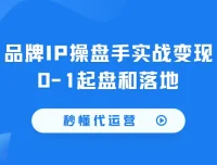 《秒懂代运营：品牌IP操盘手实战变现课程》